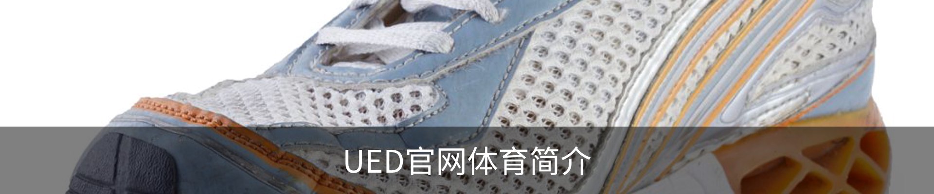 UED官网体育简介